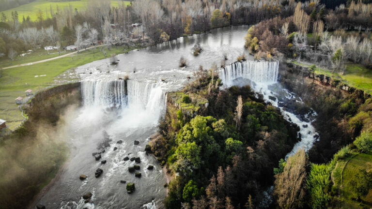 WWF Chile y plebiscito de salida: 