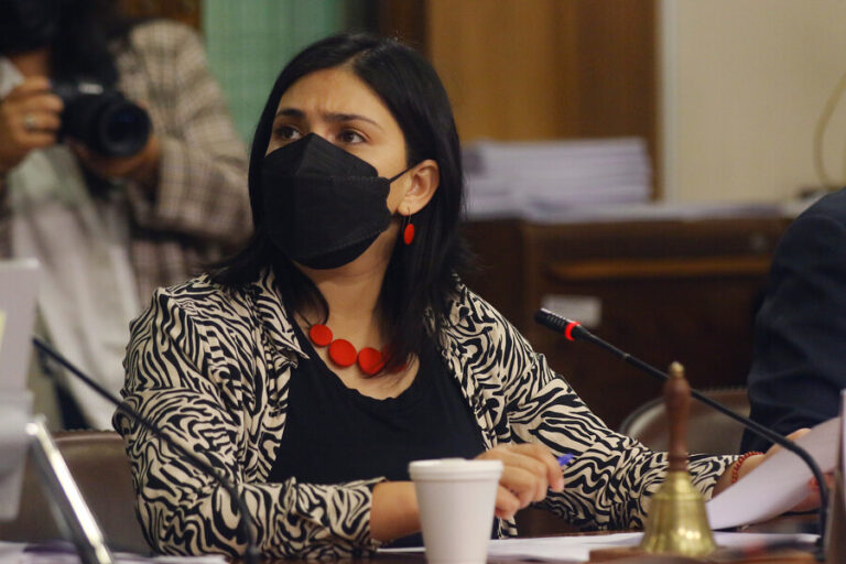 Cariola aseguró que dichos de Núñez 