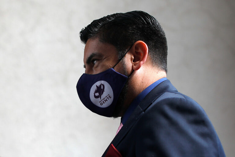 Diputado Oyarzo (PDG) llama a plebiscito de entrada para 