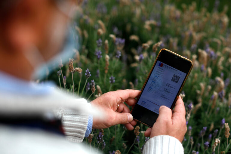 Plan Seguimos Cuidándonos: Desde el jueves la RM y otras siete regiones avanzan a 