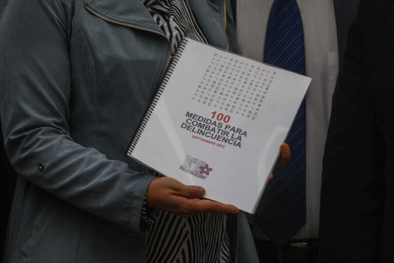 RN entregó al Gobierno propuesta con 100 medidas contra la delincuencia: 