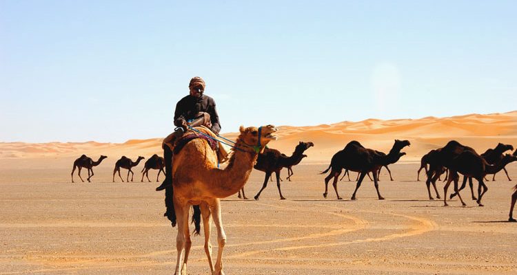 Arqueólogos descubren evidencia inédita de “caza prehistórica” en el desierto de Arabia