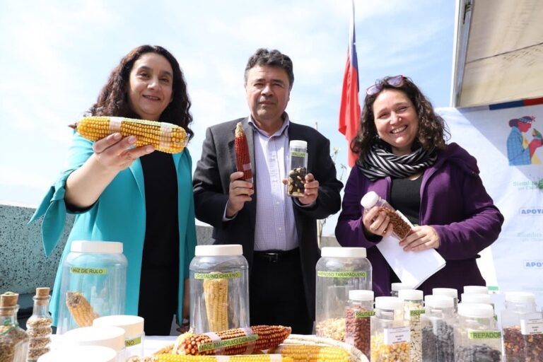 Ministerio de Agricultura presentó Plan Nacional de Resguardo de Semillas