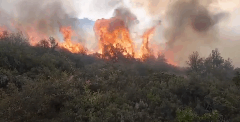 Onemi declaró alerta roja en la comuna de Tiltil por incendio forestal