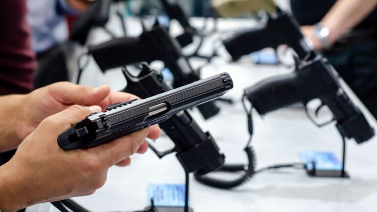 Diputados RN y PDG ingresan proyecto para autorizar a las policías usar armas automáticas