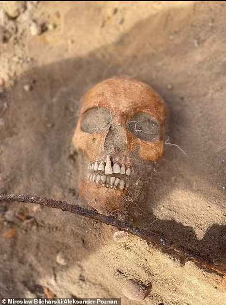 Descubren los restos de una “mujer vampiro” del siglo XVII en un cementerio polaco