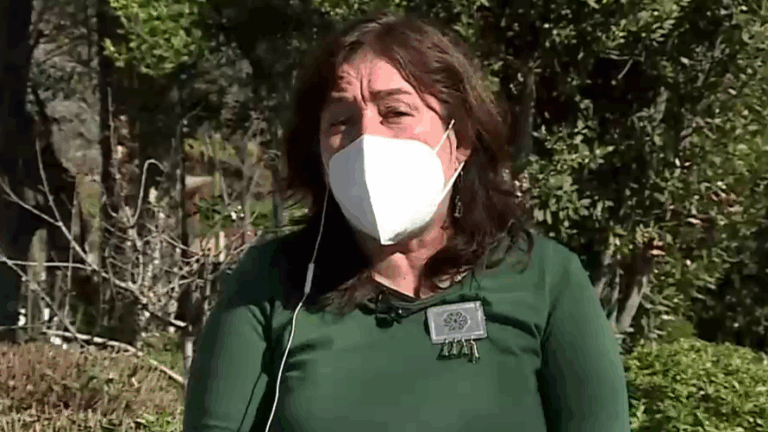 Ministra Yarza ante plebiscito de salida: 