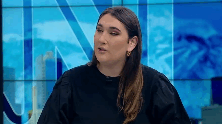 Diputada Schneider: 