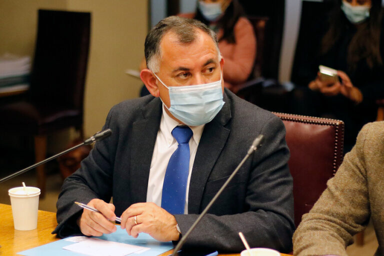 Diputado Eric Aedo: 