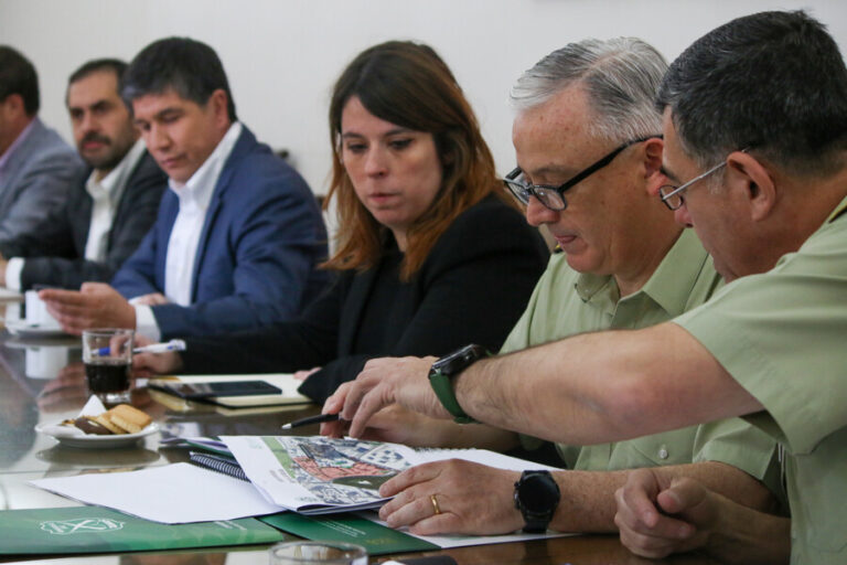 Delegada presidencial presentará querella criminal por tenencia ilegal de armas de guerra, municiones y drogas