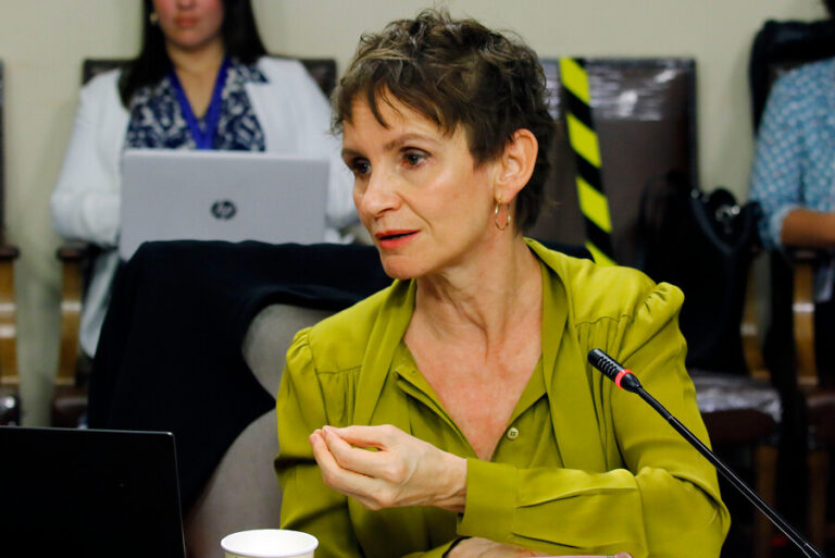 Tohá: “Que un policía le dispare a un criminal o le pegue un palo a alguien imposible de ser detenido no es violar DDHH”