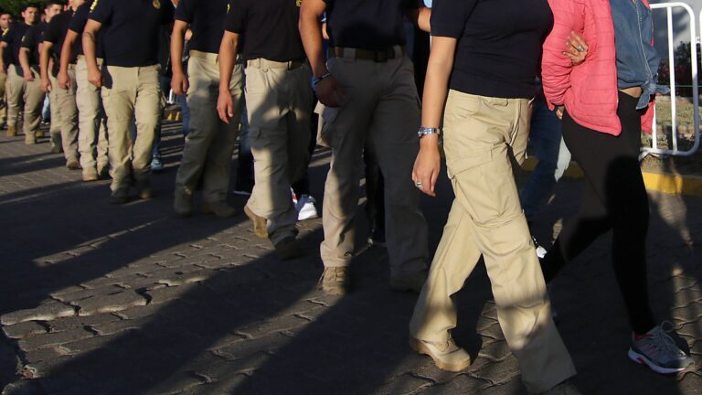 Gobierno expulsó a 49 extranjeros condenados por tráfico de drogas, robos con violencia y tenencia ilegal de armas