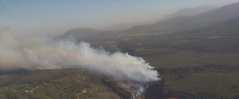 Declaran alerta roja en Molina por violento incendio forestal en cercanías del Radal Siete Tazas