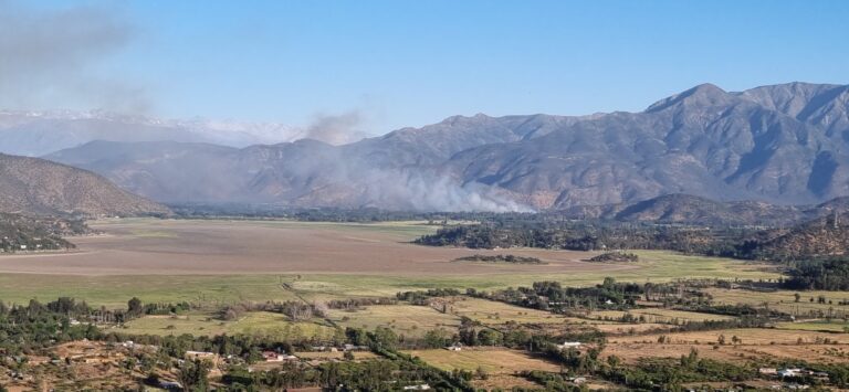 Autoridades declaran alerta roja para la comuna de Paine por incendio forestal