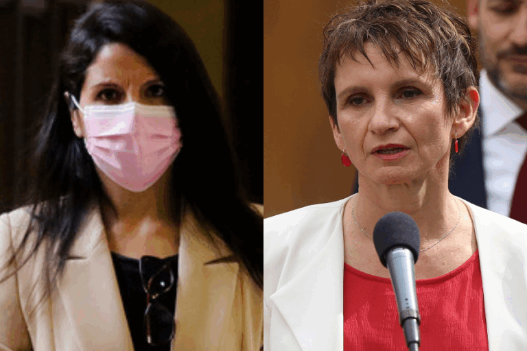 Senadora Gatica emplaza a Tohá a visitar Los Ríos: 