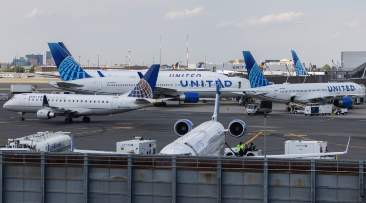Terror a bordo: Pasajero encontró una serpiente en un avión en Nueva York