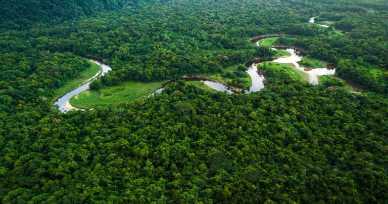 Elecciones de Brasil también podrían determinar el futuro medioambiental del planeta