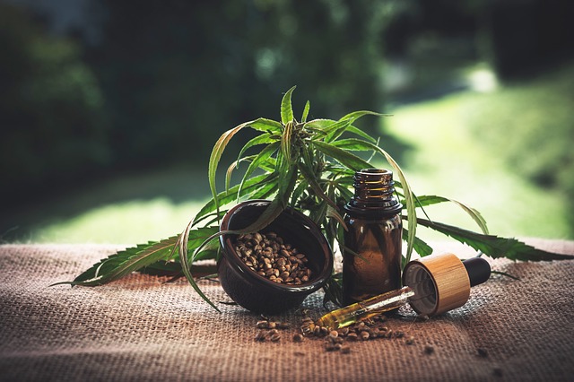 Eduardo Bolt sobre el primer remedio de cannabidiol autorizado por el ISP: 