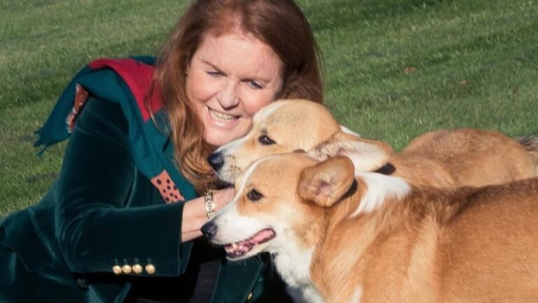 Duquesa de York publicó las primeras fotos de los corgis de la reina Isabel tras la muerte de la monarca