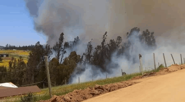 Onemi declara alerta roja en Paredones por avance de incendio forestal