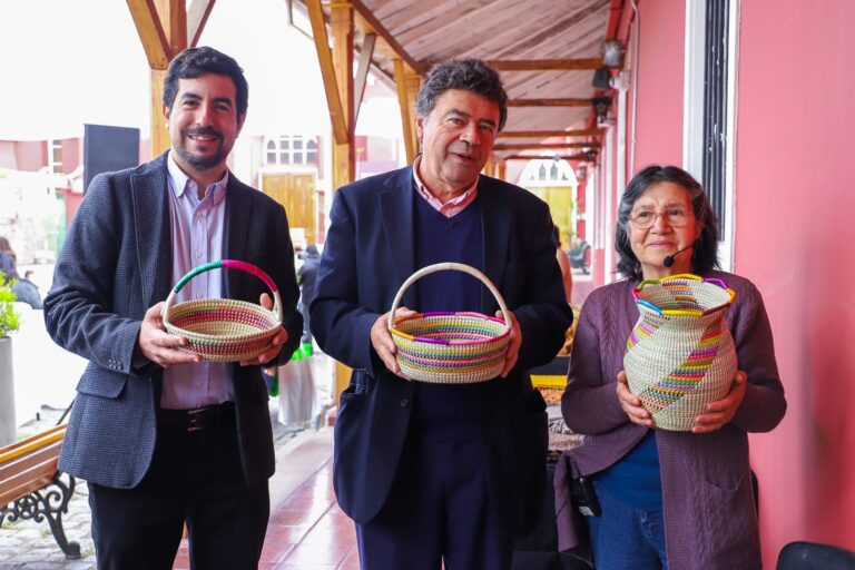 Ministerio de Agricultura impulsará planes de resguardo para materias primas de artesanos nacionales
