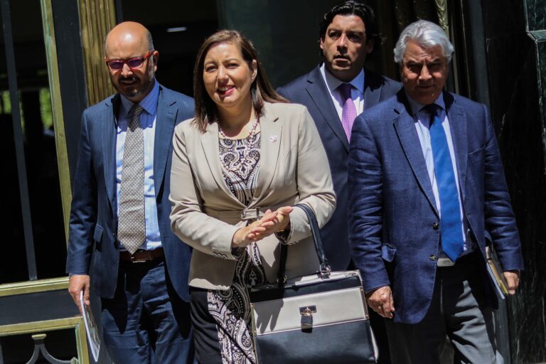 Vodanovic asumió como primera vocera del oficialismo: 