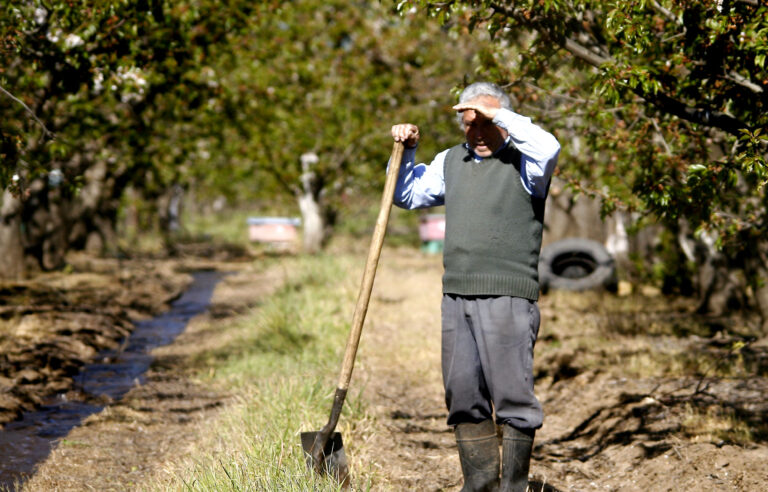 Exportadores de frutas aseguran estar preocupados ante alzas en tarifas de fletes refrigerados