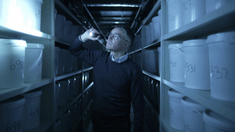 10 mil cerebros en un sótano: Los misteriosos orígenes de la colección de cerebros psiquiátricos en Dinamarca