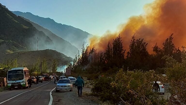 Declaran alerta roja para la comuna de Monte Patria por incendio forestal: Hay 30 viviendas involucradas