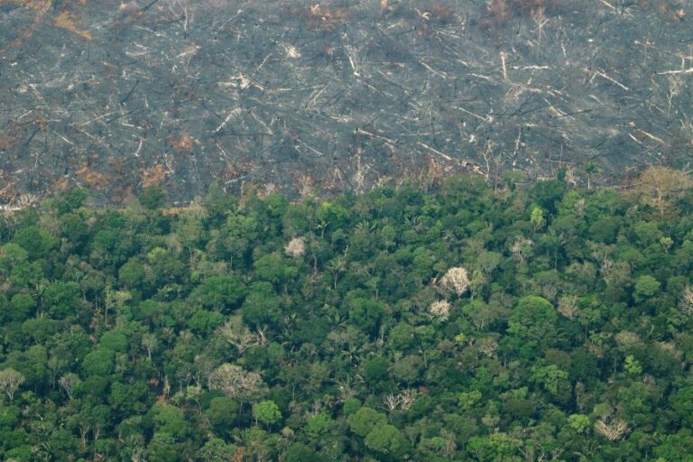 Columna de Mario Lubetkin: Camino a una Amazonía sostenible