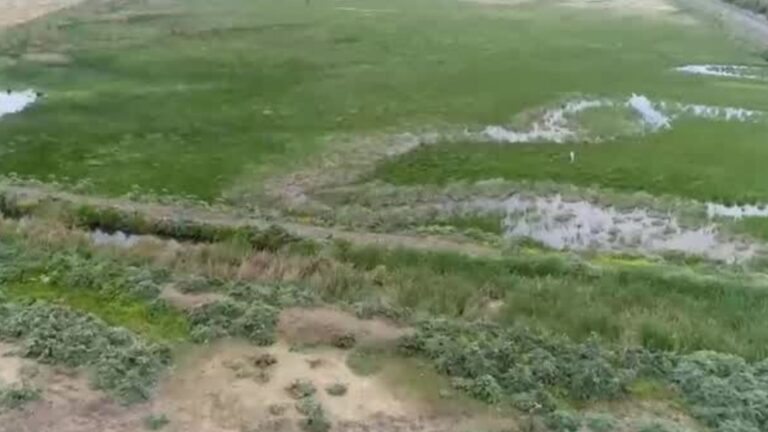 Aprueban polémica planta de aguas servidas en Quilicura: Alcaldesa Bodadilla emplazó al gobierno