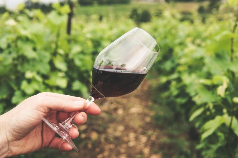 Carmenère Al Mundo 2022 elige al mejor vino chileno