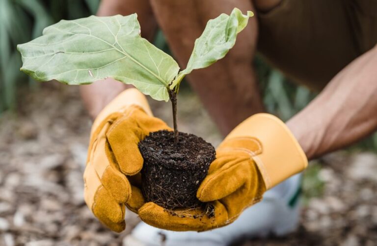 Mineras aplican programas para proteger la biodiversidad a lo largo del país