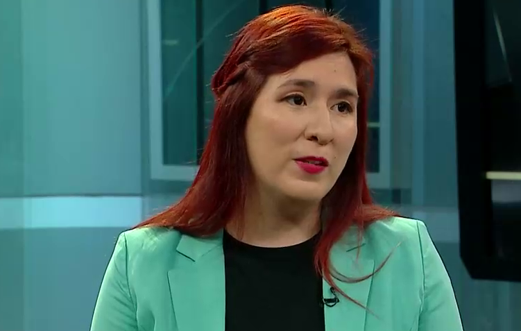 Catalina Pérez, vicepresidenta de la Cámara: 