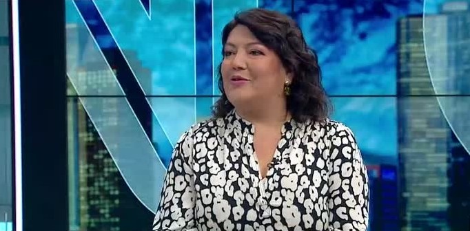 González y advertencia de guías turísticos por seguridad en Santiago: 