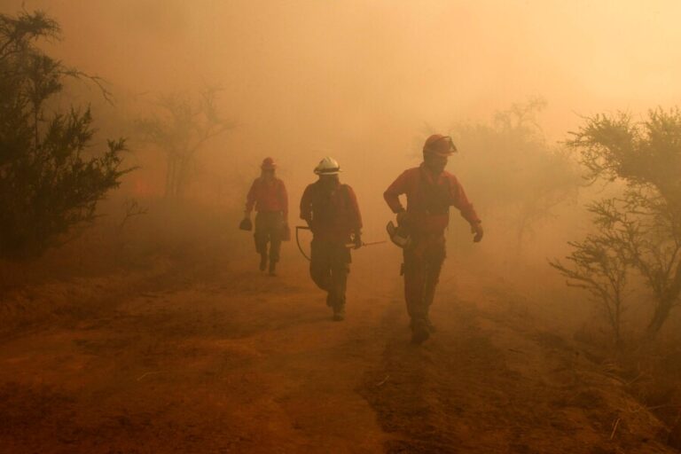 Conaf no descarta intencionalidad en incendio que afecta al jardín botánico de Viña del Mar