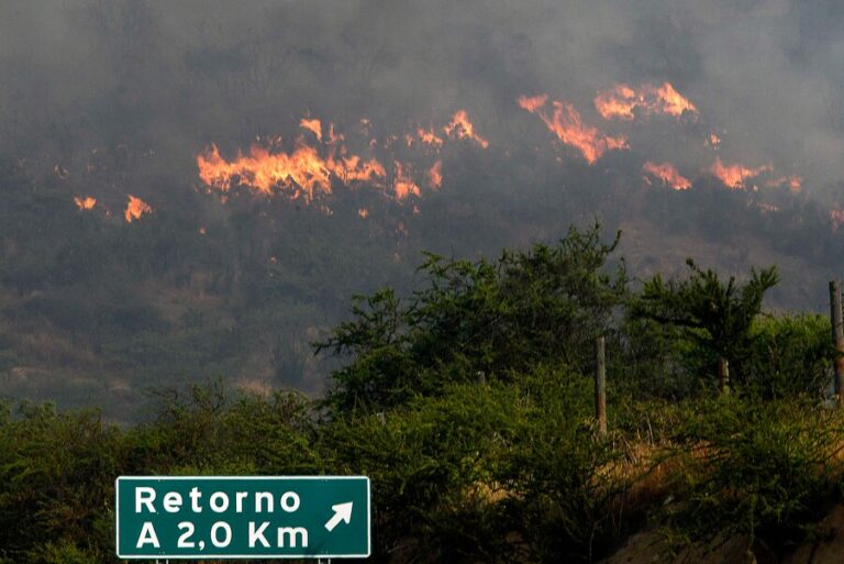 Onemi declara Alerta Roja para comuna de Melipilla por incendio forestal cercano a zonas pobladas