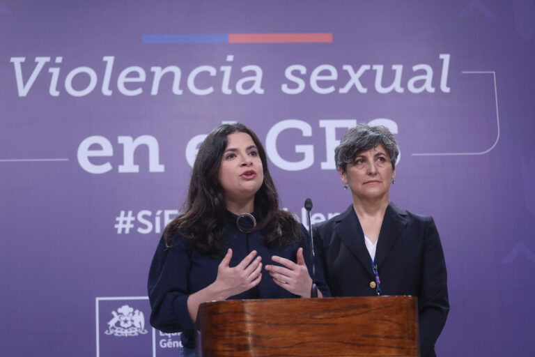 Ministra Orellana pidió antecedentes de casos en los que intervino psiquiatra del SML acusado de femicidio