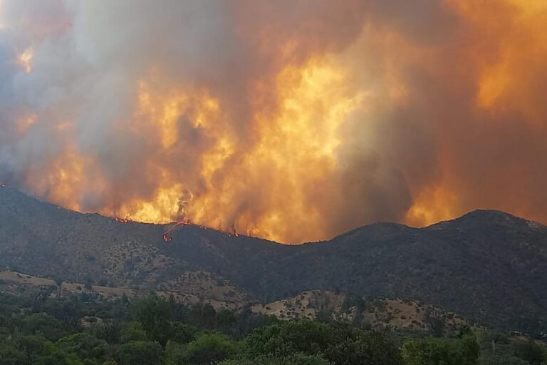 Región de Valparaíso: Confirman el fallecimiento de una persona que combatía el incendio forestal de Colliguay