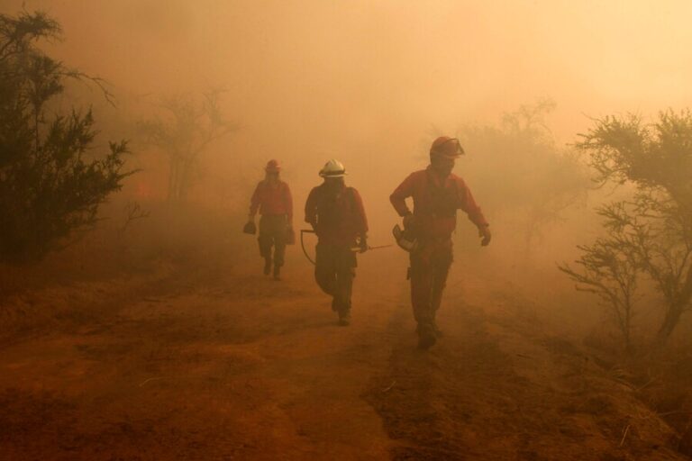 Alerta Roja en Lumaco: Incendio forestal afecta a 300 hectáreas y amenaza zonas pobladas.
