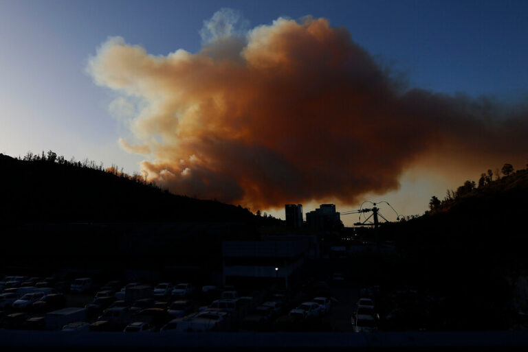 Director de Conaf por situación en Viña del Mar: “Este incendio se pudo haber evitado, es de origen humano”
