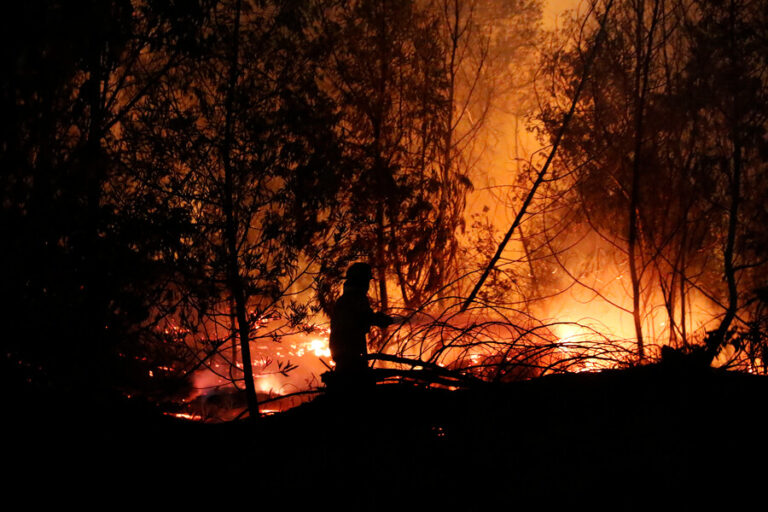 Incendios en Viña del Mar: El día después de una tragedia que dejó cientos de afectados