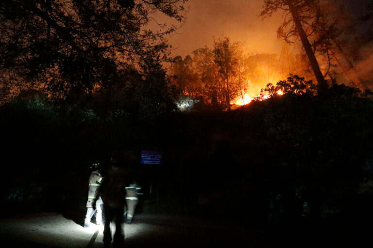 Emergencia en Viña del Mar: Conaf informa que incendio se encuentra 