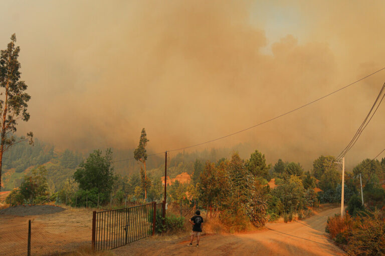 Incendio en Santa Juana deja al menos 25 viviendas siniestradas y más de 100 personas evacuadas