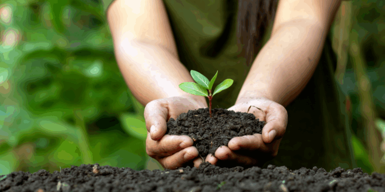 Negociaciones antes de la Conferencia sobre Biodiversidad (COP15) no avanzan para establecer un pacto entre las naciones
