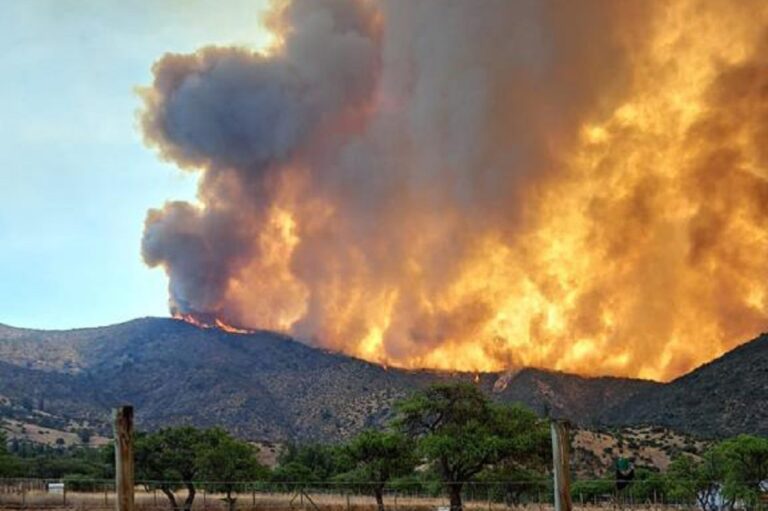 Cuatro comunas en Alerta Roja por incendios forestales: Región de Valparaíso presenta la mayor concentración