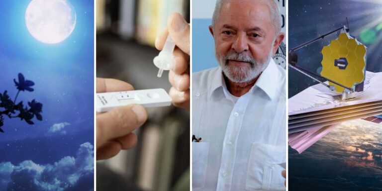 Los hallazgos e historias científicas más importantes que dejó el 2022, según la revista Nature