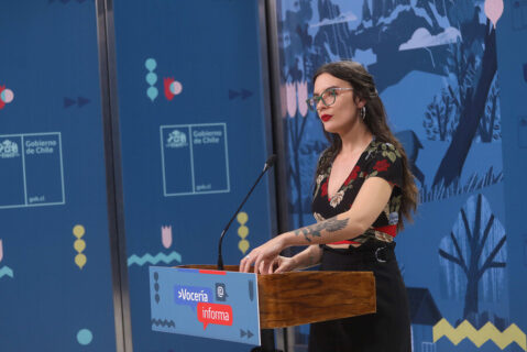 Ministra Vallejo y posición de Chile ante crisis en Perú: 