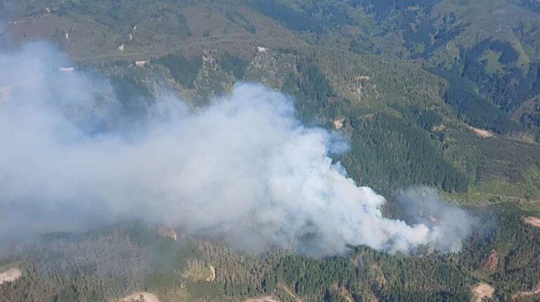 Incendio en Chiguayante: Al menos 50 hectáreas han sido afectadas y no se reportan daños a viviendas