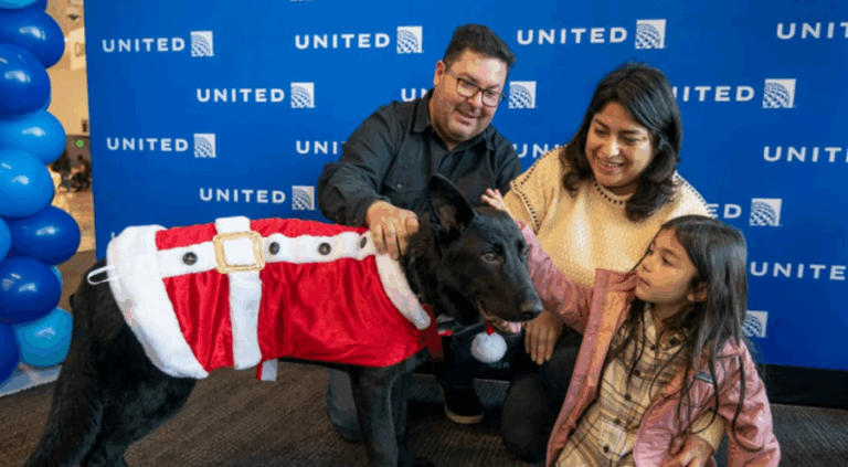 Perro abandonado por su dueño en el aeropuerto fue adoptado por un piloto